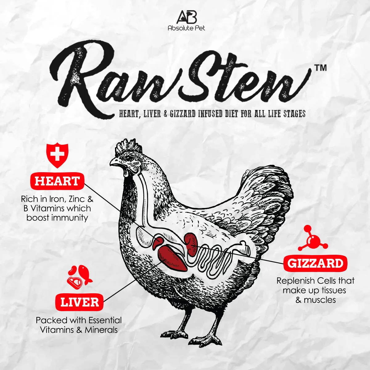 Absolute Holistic Raw Stew Canned Food for Cats & Dogs - Chicken & Salmon (80g)