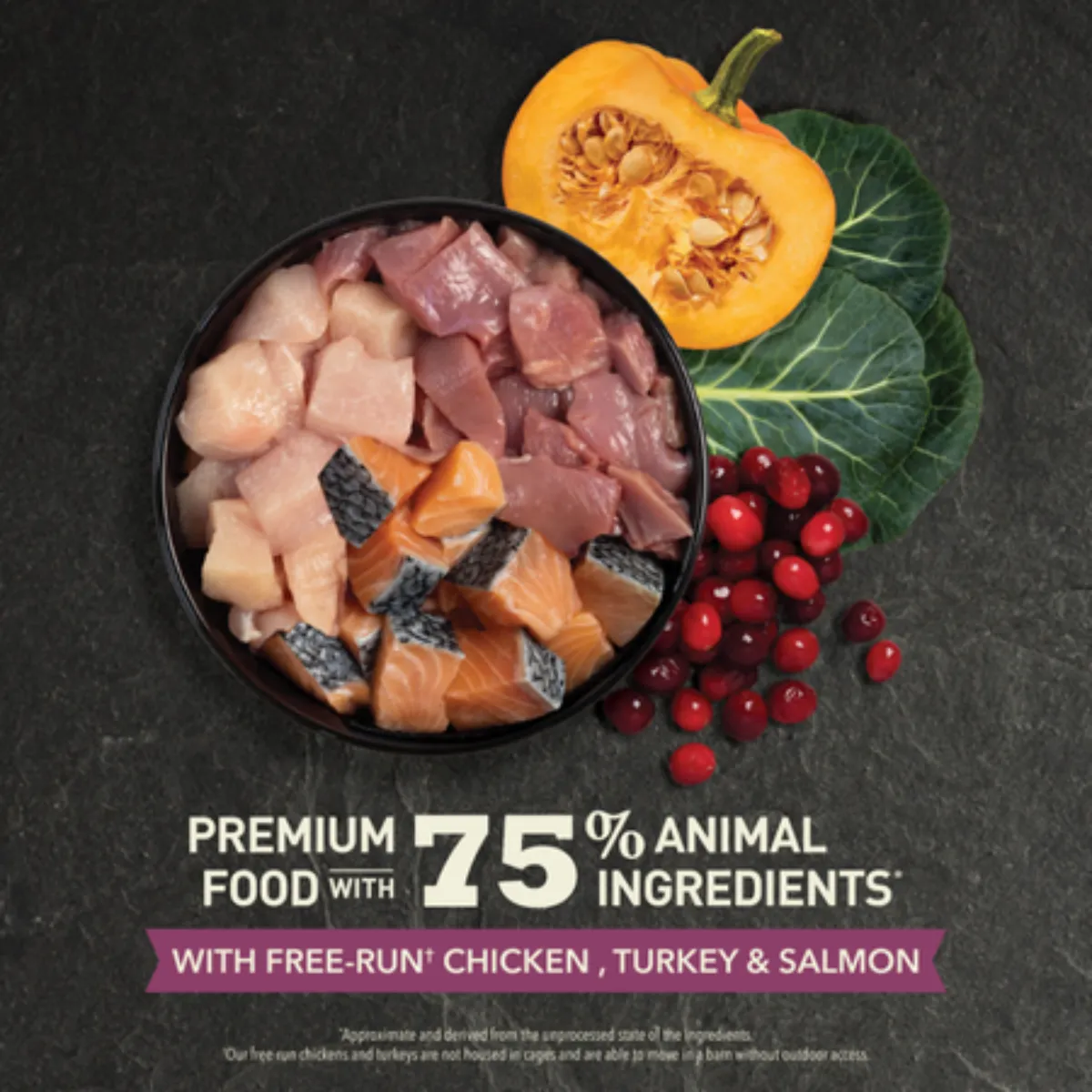 Acana Kitten Highest Protein Chicken, Turkey & Salmon Dry Cat Food 4lb