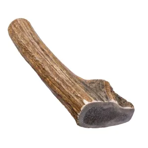 Antler Chew - Hard