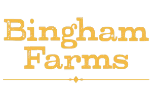 Bingham Farms Rawhide Chew Knots 20cm (10-Pack) 850g