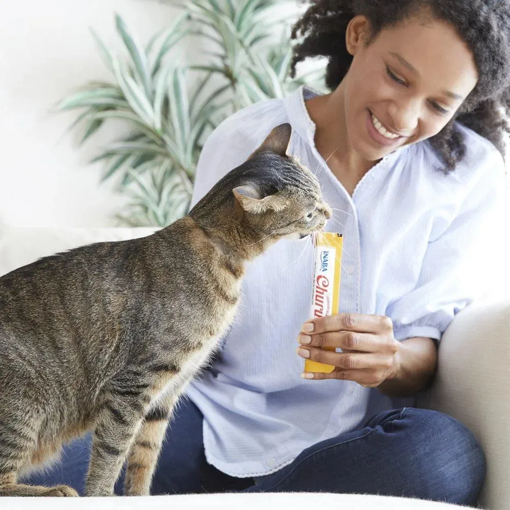 Churu Lickable Cat Treats Chicken 0.5 Oz 40 Tubes
