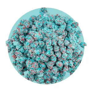 Exotic Gummies- NOT FREEZE DRIED