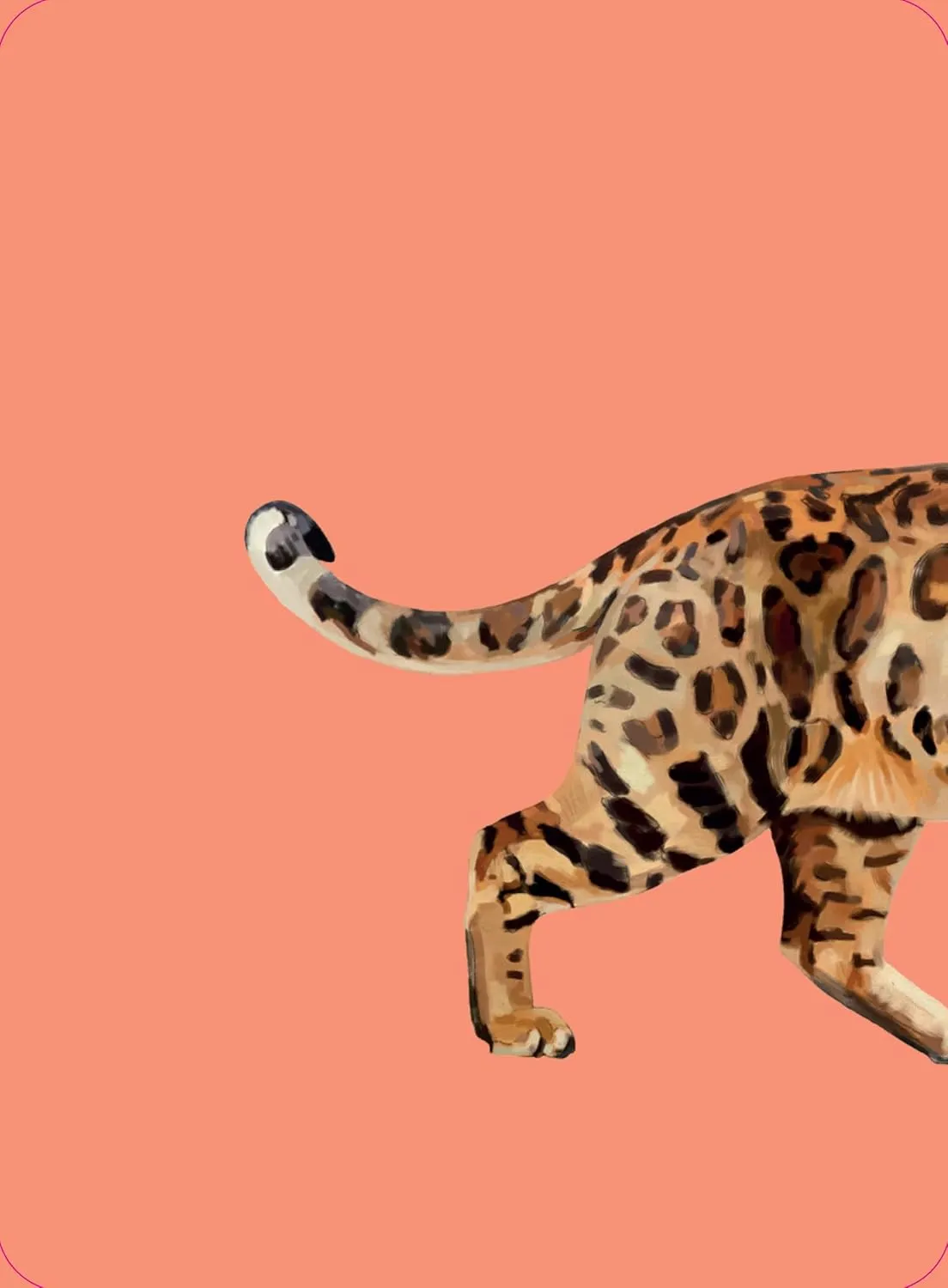 Heads & Tails: Cat Memory Card Game