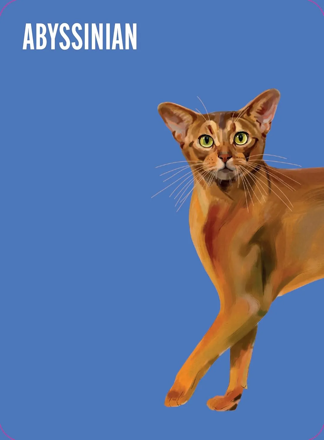Heads & Tails: Cat Memory Card Game
