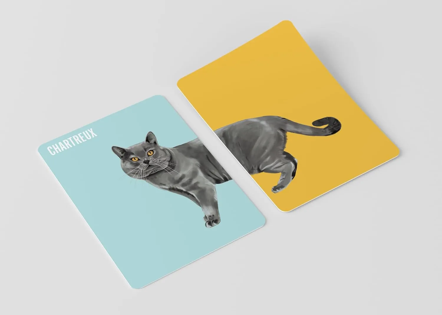 Heads & Tails: Cat Memory Card Game
