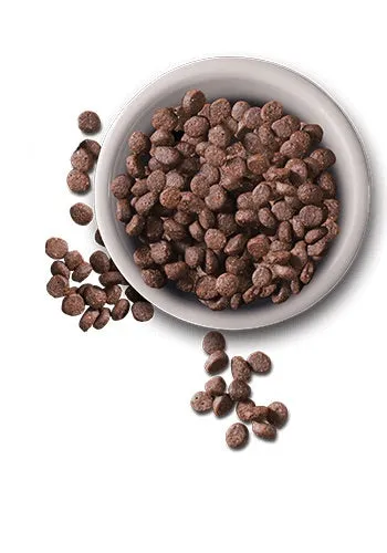LEONARDO Adult Cat Dry Food with Fish 2kg