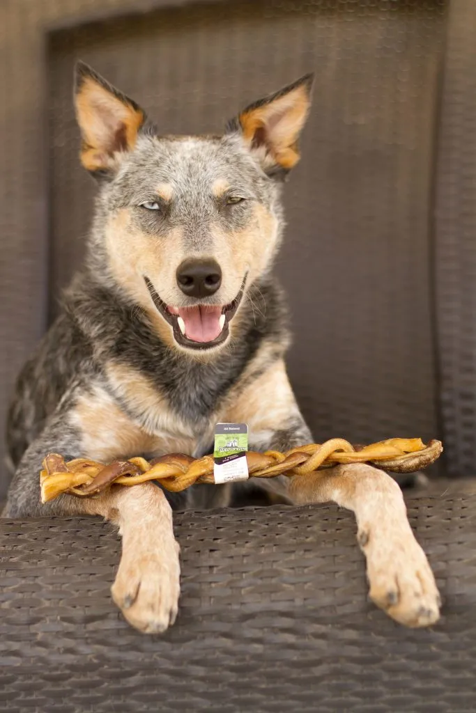 Redbarn Braided Bully Stick Dog Treat, 12in