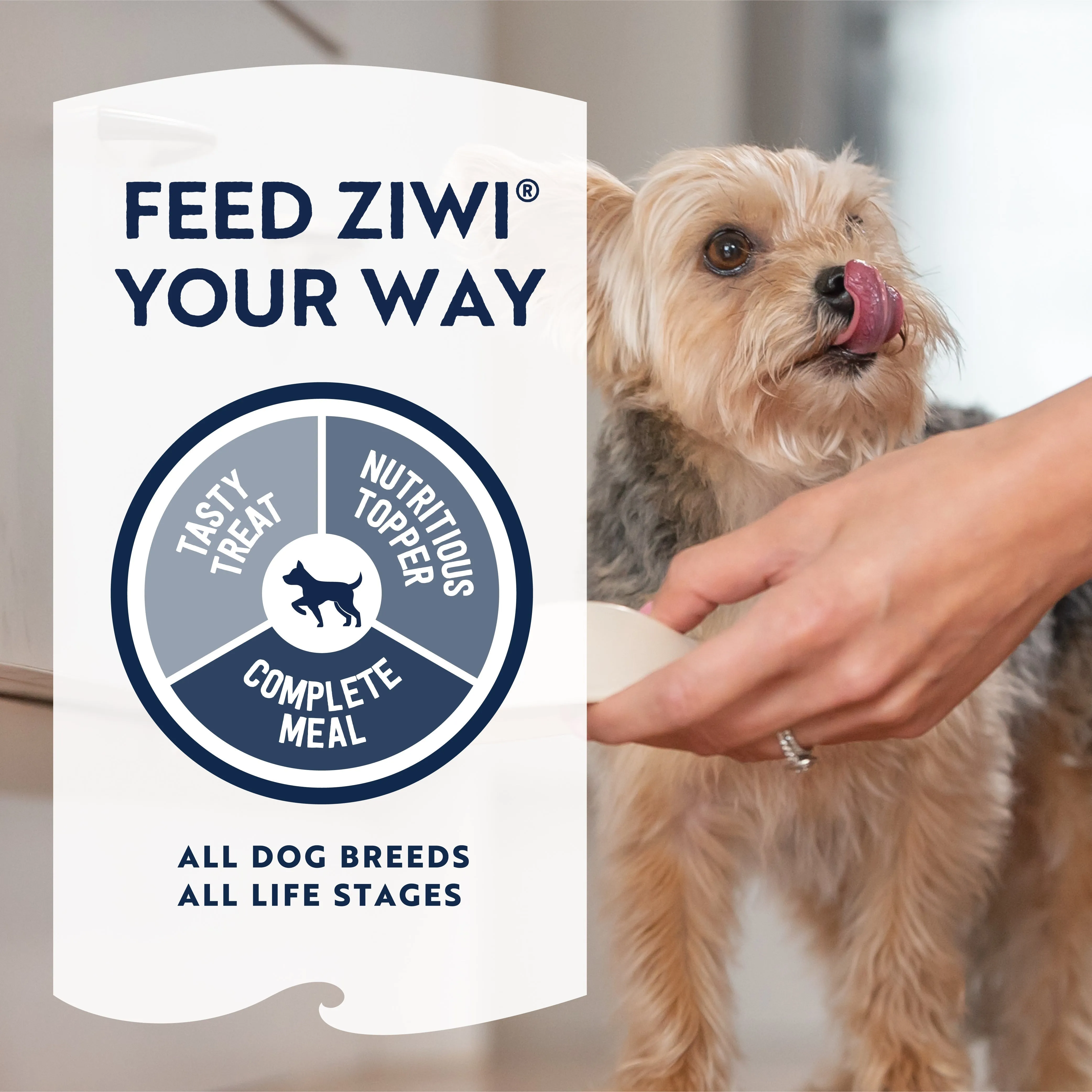 ZIWI Peak Air Dried Chicken Recipe Dog Food 454g